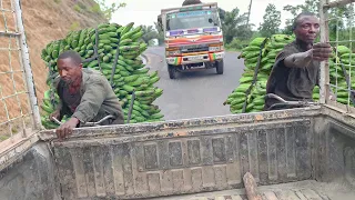 Scary Technique They Use to Ride Delivery Bicycles in Africa