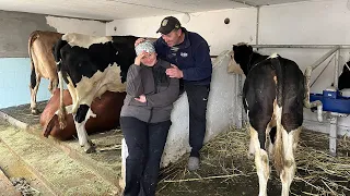 Все буде Україна! Приїхала корівка Brown Swiss ждали одну приїхало двоє, розширюємо ферму...