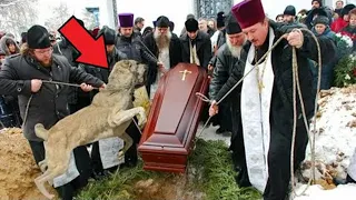 The dog broke the coffin right in front of the people. But then something happened that made everyon