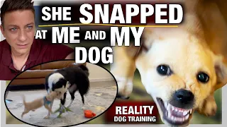 How to Train Your Puppy to STOP SNAPPING at YOU, YOUR FAMILY & YOUR PETS! Reality Dog Training