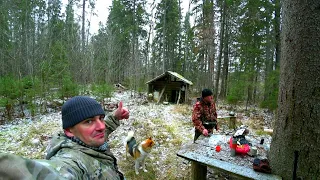 🏕С Батей в лес/Проверяем путик