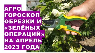 Агрогороскоп обрізки садових рослин та "зелених операцій" на квітень 2023 року