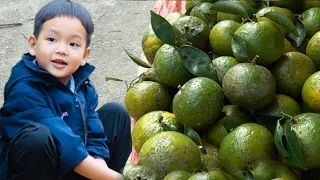 FULL VIDEO Khai goes to the market to sell fruit and household items.