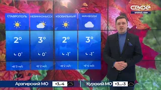 Новости на Своём  от 25 ноября 2021 г. 13:00