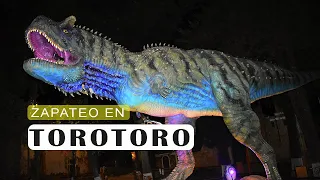 DESPUÉS DEL GUSTO TE PASO PENSIONES- ZAPATEO EN TOROTORO NORTE POTOSÍ BOLIVIA