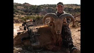 Free Range Archery Aoudad Spot and Stalk