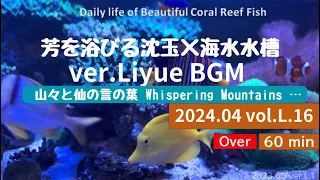 24.04 .L.16【Genshin】Along with Liyue BMG and seawater aquarium,Daily life of Coral Reef Fish