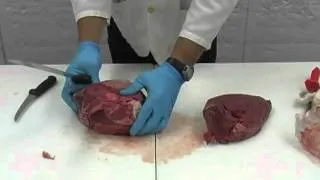 Be Your Own Butcher - Sirloin Tip