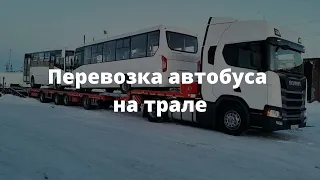 Перевозка автобуса на трале | Весь спектр логистических услуг | Группа Компаний Сокол