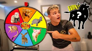 BUYING WHATEVER ANIMAL it Lands On!! - Challenge