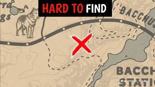 You Passed Here 777+ Times, But Many Of You Never Found These - RDR2