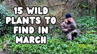 What Wild Food Can We Find in March? UK Foraging