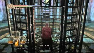Dark Souls 2 - Freeing Woman in Drangleic Castle