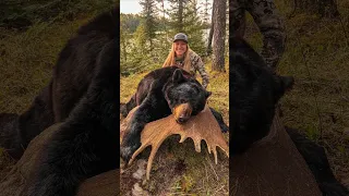 POV: you shoot a 350lb black bear w/ your bow… #bowhunting #hunting #bearhunting