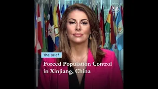 The Brief: Forced Population Control in Xinjiang, China