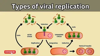 Lytic and lysogenic cycle|| Lytic and lysogenic cycle of viruses|| biology||  microbiology