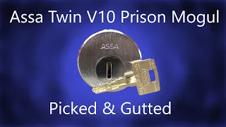 032 Assa twin v10 pick & gut. Black 1.