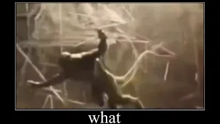 The Lizard gets kicked by nothing WHAT! Meme - Spiderman No Way Home