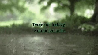 Janek Ledecký - Proklínám - lyrics