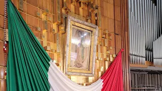 Serenata a Santa María de Guadalupe II. Parroquia de San Diego de Alcalá. Quiroga Michoacán.