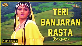 Teree Banjaran Rasta Dekhe | Sonic Jhankar | Banjaran| Alka Yagnik | Rishi Kap | Sridev i GEET MAHAL