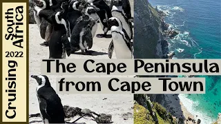 Cape Peninsula Tour from Cape Town | Penguins & Stunning Views | Cape Point & Cape of Good Hope