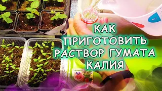 Сделайте сами жидкий ГУМАТ КАЛИЯ из сухого порошка. Как развести водой сухой гумат калия.