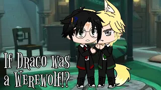 If Draco was a werewolf ||Drarry and Blairon||(Gay)Part 1?