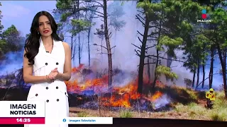 Se registran incendios forestales en zonas de México | Noticias con Crystal Mendivil