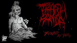 TRASH PANDA - DEVOURED BY VERMIN [CANNIBAL CORPSE COVER] (2023) SW EXCLUSIVE