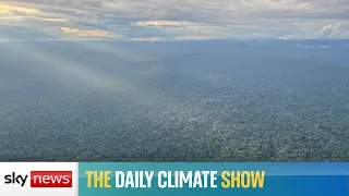 The Daily Climate Show: Reporting from Gabon