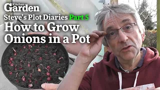 How to Grow Onions in a Pot | Steve's Plot Diaries | Part 5