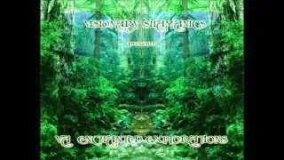 Petran - Voyager Of Psychedelic States (Darkpsy Forest)