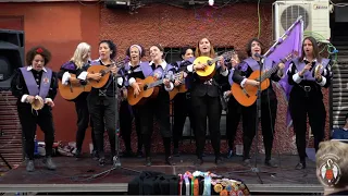 Actuación en las Fiestas de La Paloma (2018) - Tuna Universitaria Complutense de Madrid
