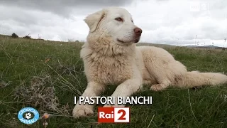 I PASTORI BIANCHI