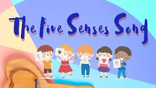 The Five Senses Song