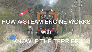 How A Steam Engine Works