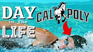 Day in the Life of a Cal Poly Swimmer | DITL Athletics