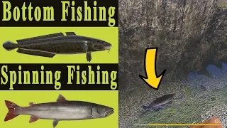 Spinning & Bottom Strategy | Belaya River[Russian Fishing 4]