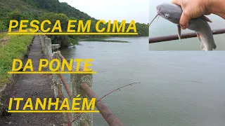 PESCA EM CIMA DA PONTE ITANHAÉM LUGAR IRADO-04 #canaldepesca#pescariadebarranco#pescadevara