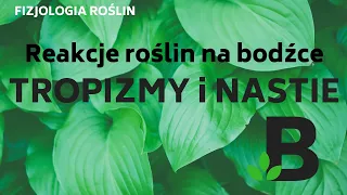 Tropizmy i nastie Reakcje roślin na bodźce - FIZJOLOGIA roślin - KOREPETYCJE z BIOLOGII - 279