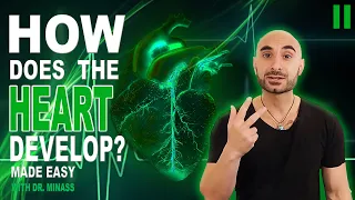 Embryology of the Heart II (Easy to Understand)