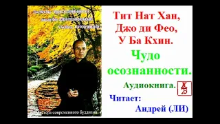 Тит Нат Хан.    Чудо осознанности (Аудиокнига)