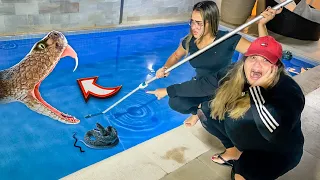 UMA COBRA APARECEU NA PISCINA  E TIVEMOS QUE TIRAR ELA 😱😱😱