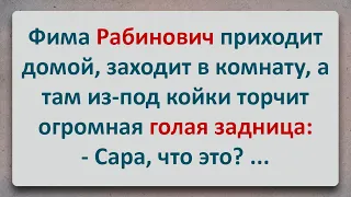 ✡️ Фима Рабинович нашел под кроватью Голую Задницу! Анекдоты про Евреев! Выпуск #68