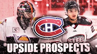 HABS MAKE HUGE UPSIDE PICK W/ SEAN FARRELL + NEW CANADIENS GOALIE PROSPECT JAKUB DOBES (NHL Draft)