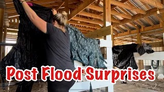 Sanctuary Flood Cleanup | My First Look | Texas Flooding