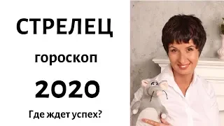 СТРЕЛЕЦ гороскоп на 2020 год. ГДЕ ЖДЕТ УСПЕХ? / гадание на 2020 год от Елена Саламандра