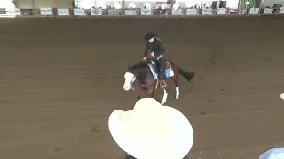 6 1 24   Buckeye Reining Spectacular   Decade Derby Open   Casey Watson on Triqued Out