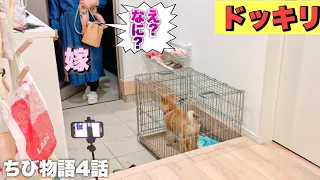 ちび物語〜4話　嫁に黙って柴犬飼ったら反応が面白すぎた！【ドッキリ】